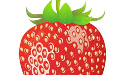 草莓视频,带你领略短视频的魅力与创意